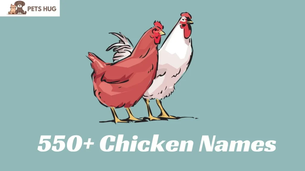 Chicken Names