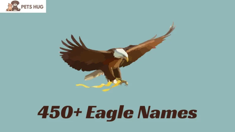 Eagle Names