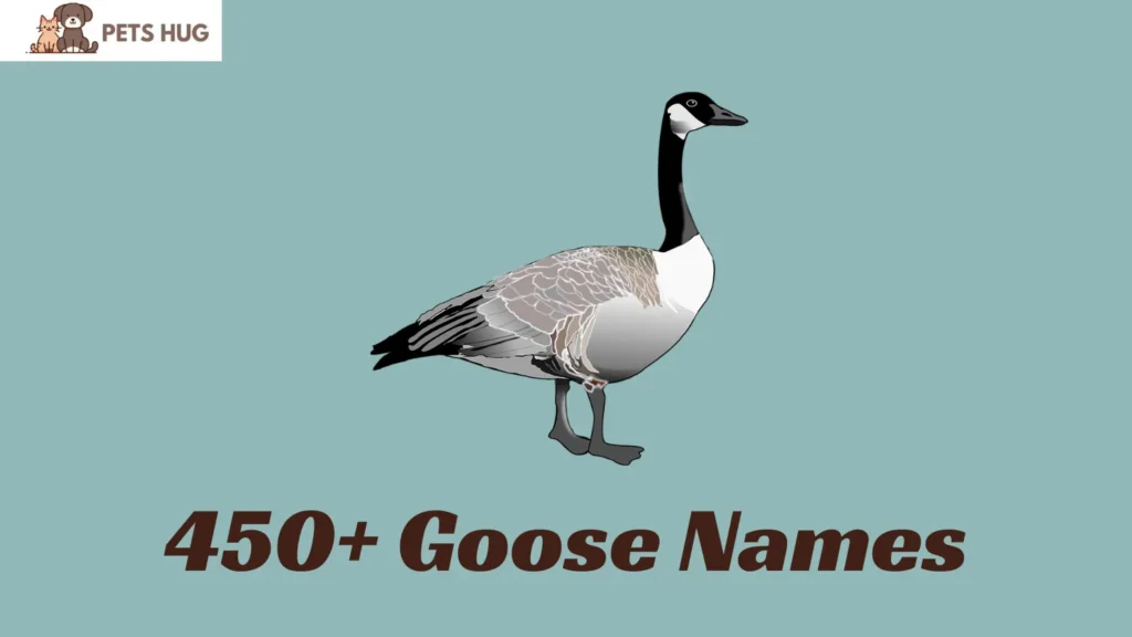 Goose Names