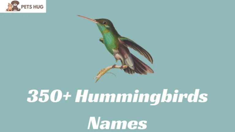 Hummingbirds Names