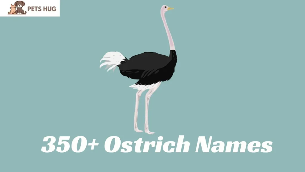 Ostrich Names