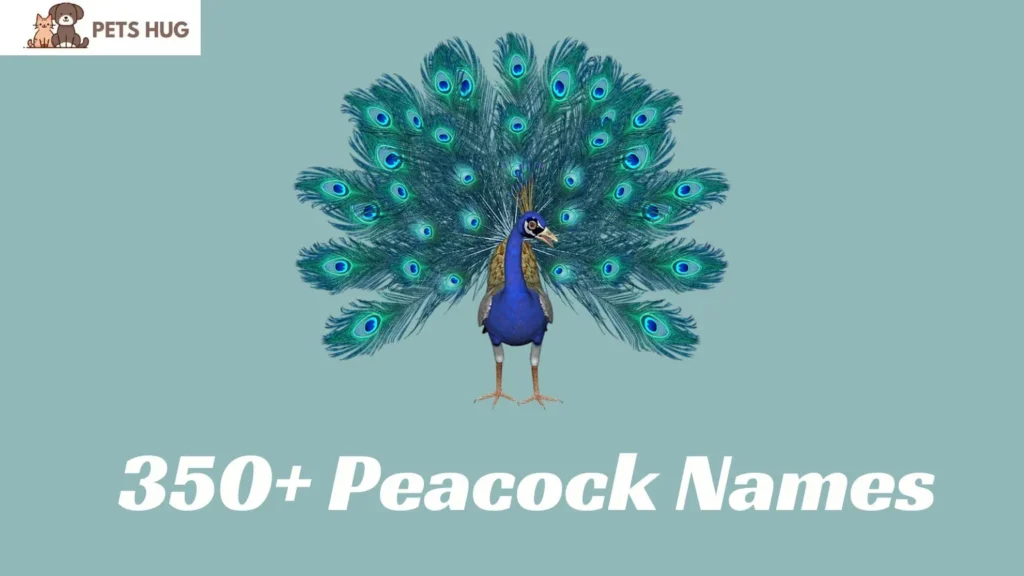 Peacock Names