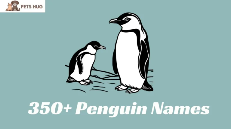 Penguin Names