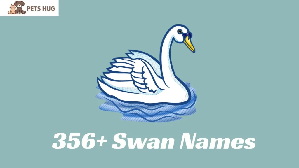 Swan Names