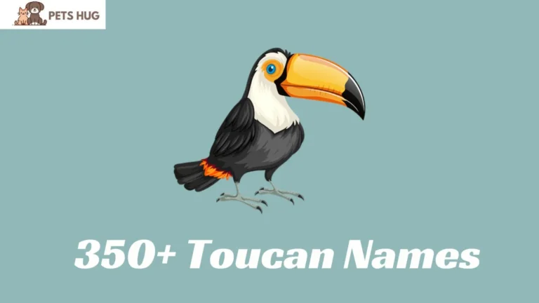 Toucan Names