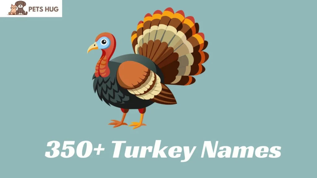 Turkey Names